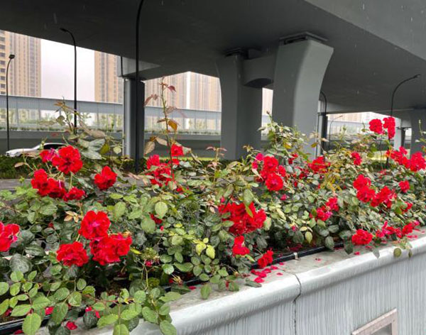 高架橋花箱的功能設(shè)計(jì)與安全性