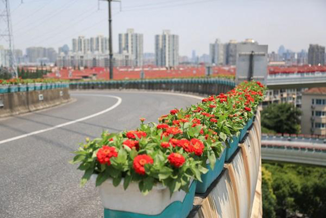 如何選擇高架橋綠化花箱