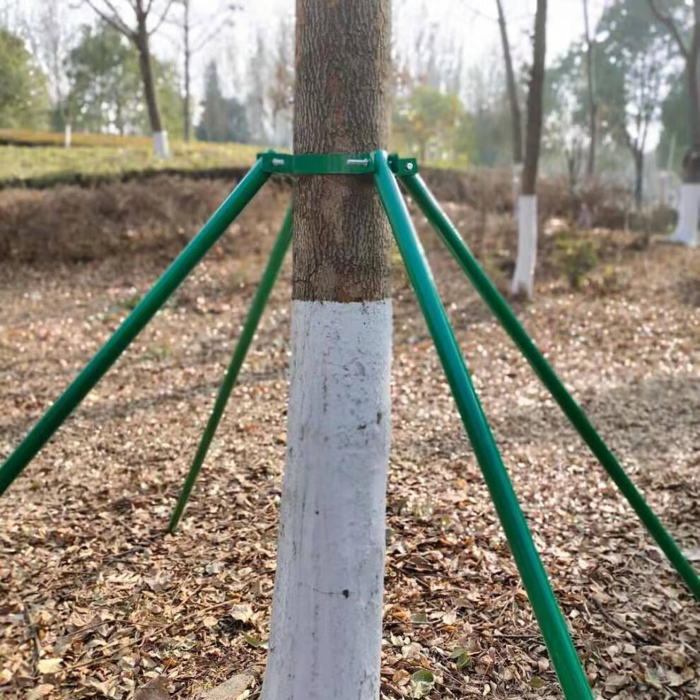 加固樹木支撐架 全力應對大風雷雨天氣