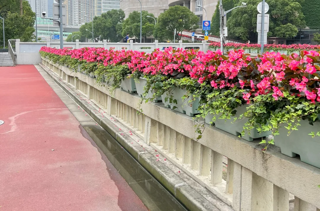 被市政工程優(yōu)先選擇的花箱是什么樣的