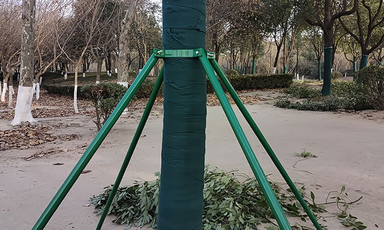 倒伏綠植再無煩惱 碳纖維樹木支撐架穩(wěn)固守護(hù)