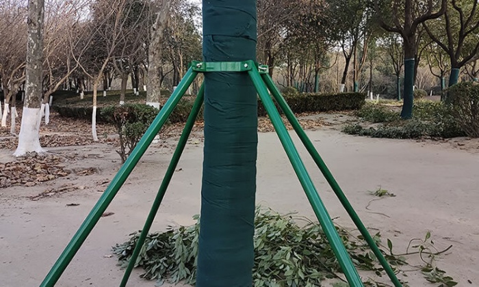 必看！苗木支撐架選材與搭建標(biāo)準(zhǔn)，全方位指南