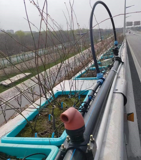 高架花箱植被維護(hù)應(yīng)該怎么做