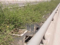 寧波王先生16800個(gè)高架花盆已發(fā)貨