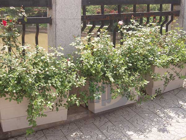 玻璃鋼護(hù)欄花盆