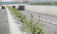 合肥玻璃鋼花盆已發(fā)貨