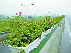 玻璃鋼高架花盆