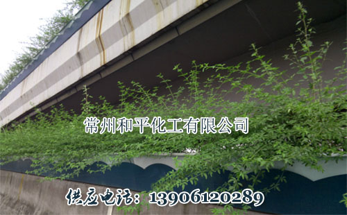 玻璃鋼高架花盆