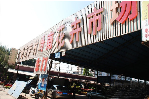 花盆批發(fā)