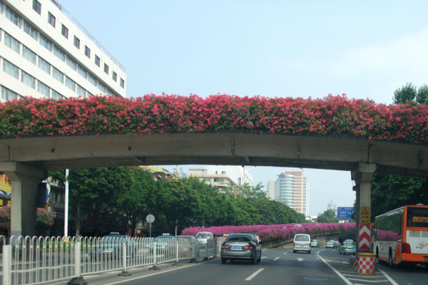 景觀花盆