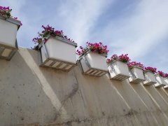 高架花盆_玻璃鋼花盆