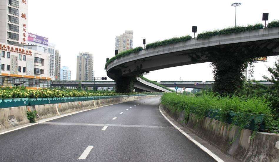 高架橋花盆