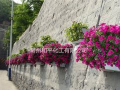 玻璃鋼花盆如何選擇植物
