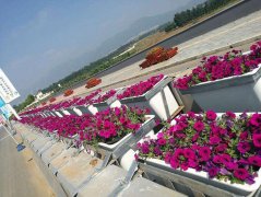 如何選擇玻璃鋼花箱廠家