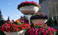 SMC花盆與花箱的區(qū)別